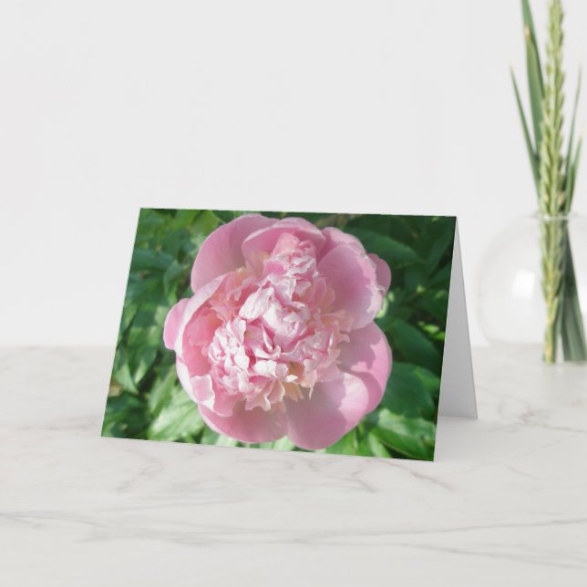 Tarjeta de nota de Peony Rosa (Anverso)
