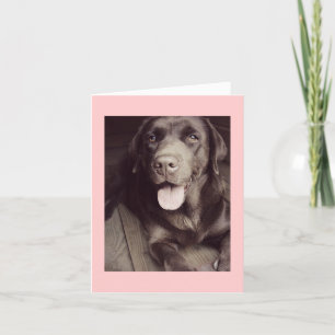 Tarjeta De Nota De Perro De Labrador Blanco Y Negr