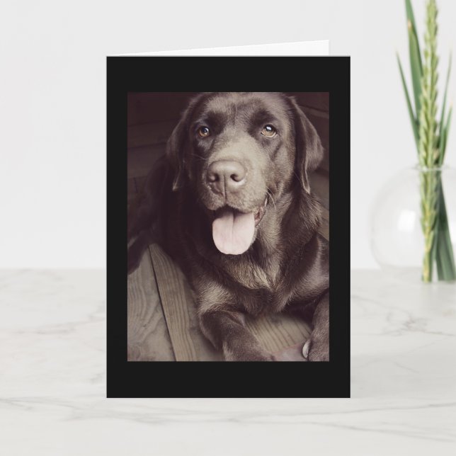 Tarjeta De Nota De Perro De Labrador Negro Y Blanc (Anverso)