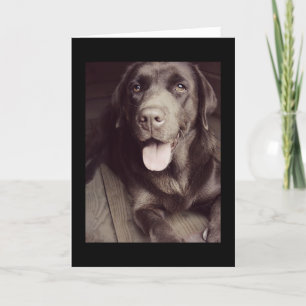 Tarjeta De Nota De Perro De Labrador Negro Y Blanc