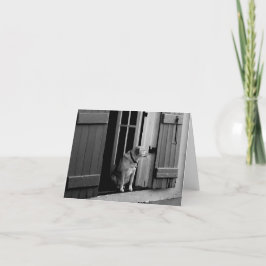 Tarjeta de nota de perro en la puerta