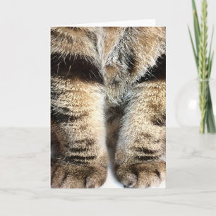 Tarjeta de nota de piernas de tabby - en blanco de