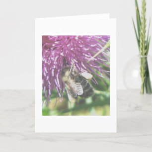 Tarjeta de nota de polen para la recolección de ab