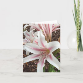 tarjeta de nota de primavera #2