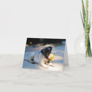 Tarjeta de nota de pug