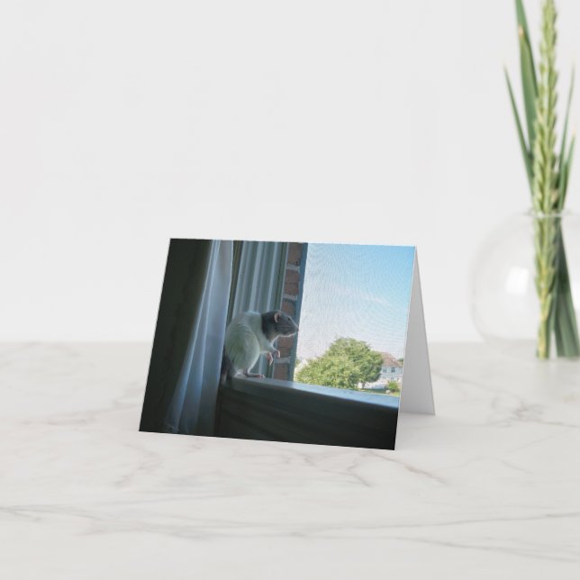 Tarjeta de nota de Rat Contemplable "Wish You Were (Anverso)