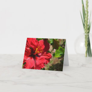 Tarjeta de nota de Red Hibiscus