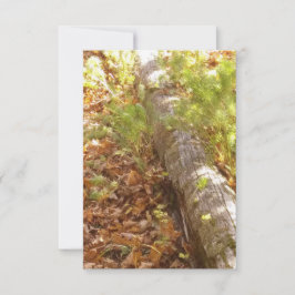 Tarjeta de nota de registro de Woodsy
