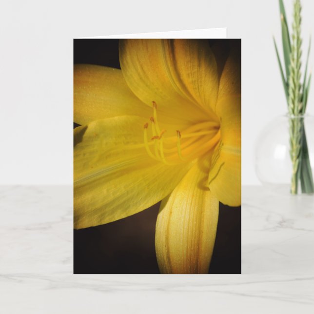 Tarjeta de nota de resaltado de flores de Lily Day (Anverso)