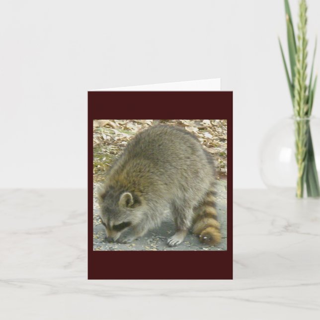 Tarjeta de nota de rock Raccoon (Anverso)