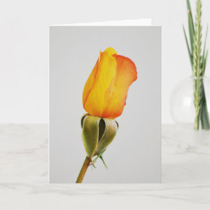 Tarjeta de nota de Rosa de Naranja dorado Bud Art