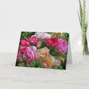 Tarjeta de nota de Rosas antiguos