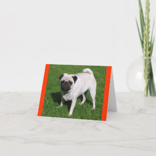 Tarjeta de nota de saludo en blanco con perro cach