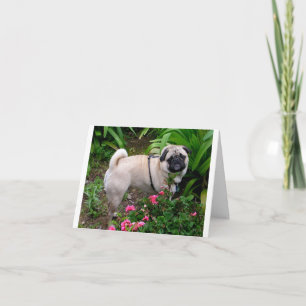 Tarjeta de nota de saludo en blanco con perro cach
