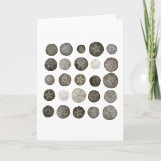 Tarjeta de nota de Sanddollars