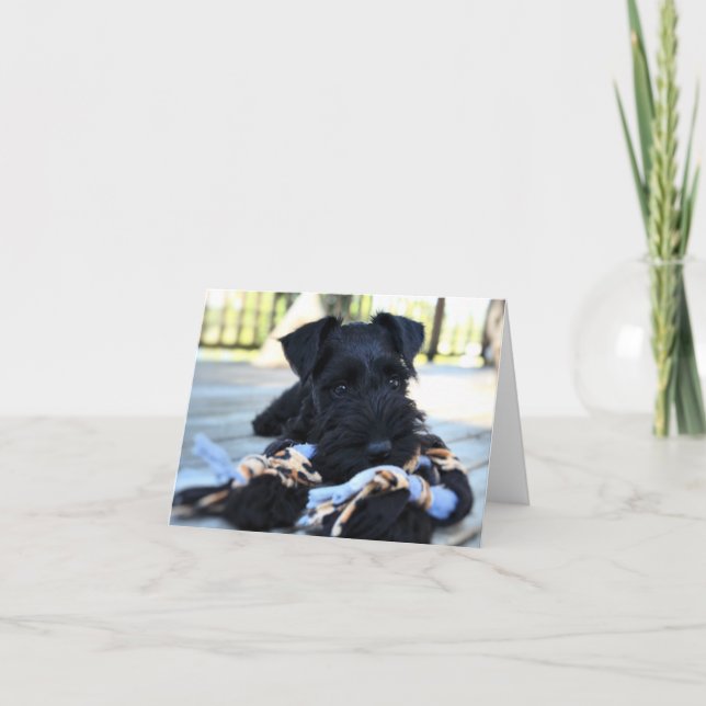 Tarjeta de nota de Schnauzer de Miniture #5 - en b (Anverso)