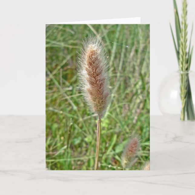 Tarjeta de nota de Seedhead de la hierba del (Anverso)