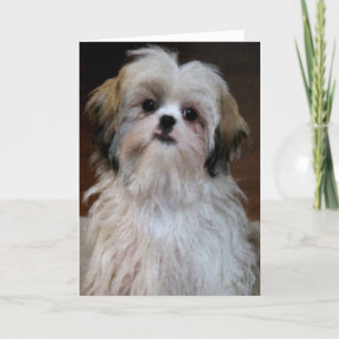 Tarjeta de nota de Shih Tzu
