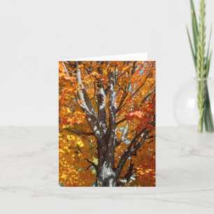 Tarjeta de nota de sombras de árbol de otoño
