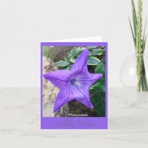 Tarjeta de nota de Star of the Garden "Platycodon"