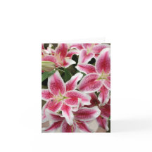 Tarjeta de nota de Stargazer Lily - en blanco