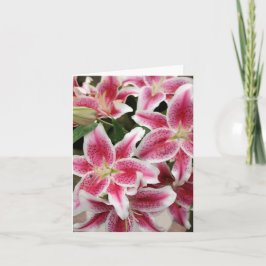 Tarjeta de nota de Stargazer Lily - en blanco