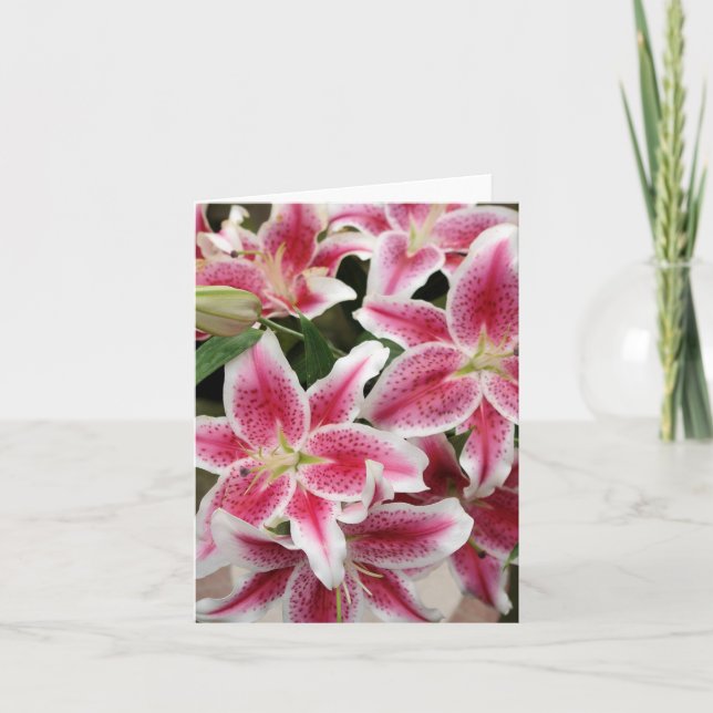 Tarjeta de nota de Stargazer Lily - en blanco (Anverso)