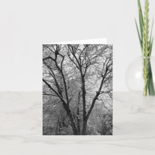 Tarjeta de nota de Stark Snow Outlines