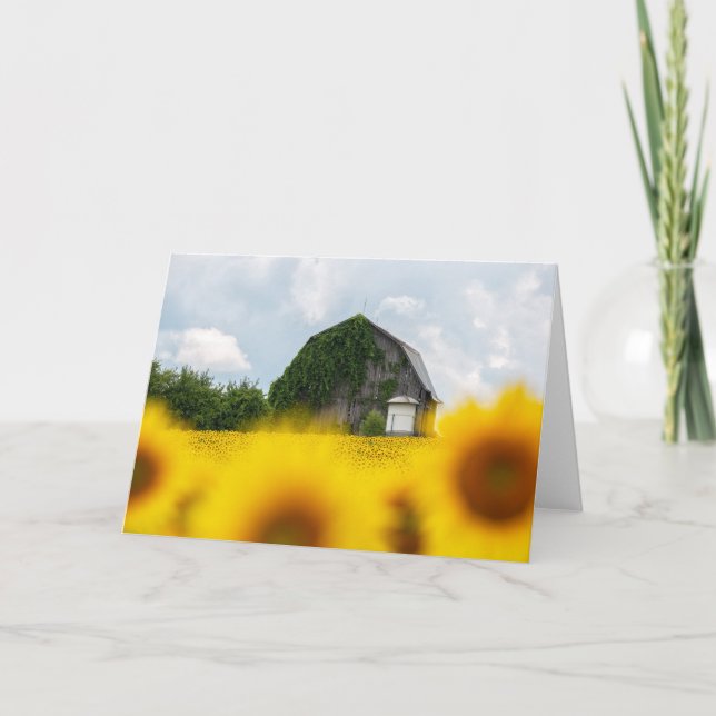 Tarjeta de nota de Sunflower Barn Blank (Anverso)