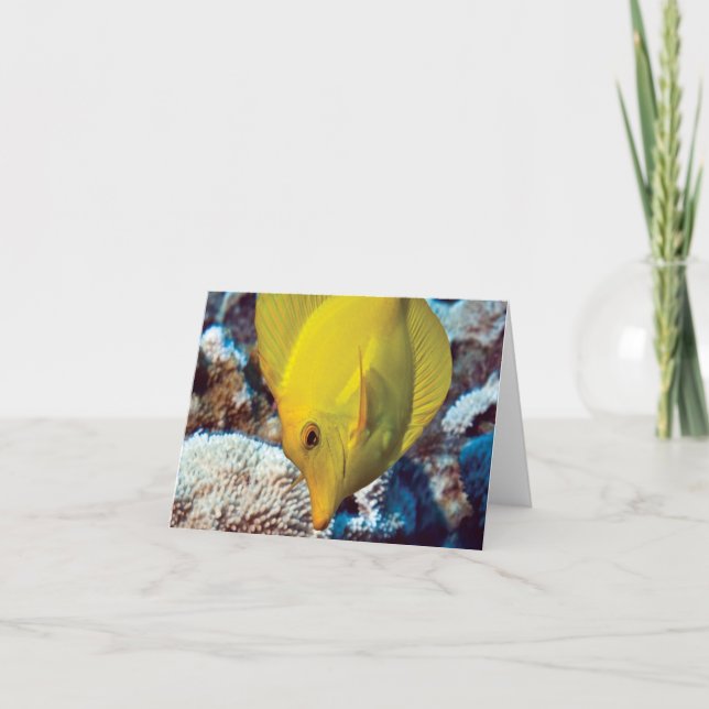 Tarjeta de nota de TangEssence (Anverso)