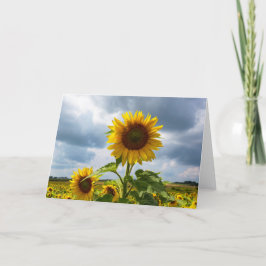 Tarjeta de nota de tormenta de girasol en blanco
