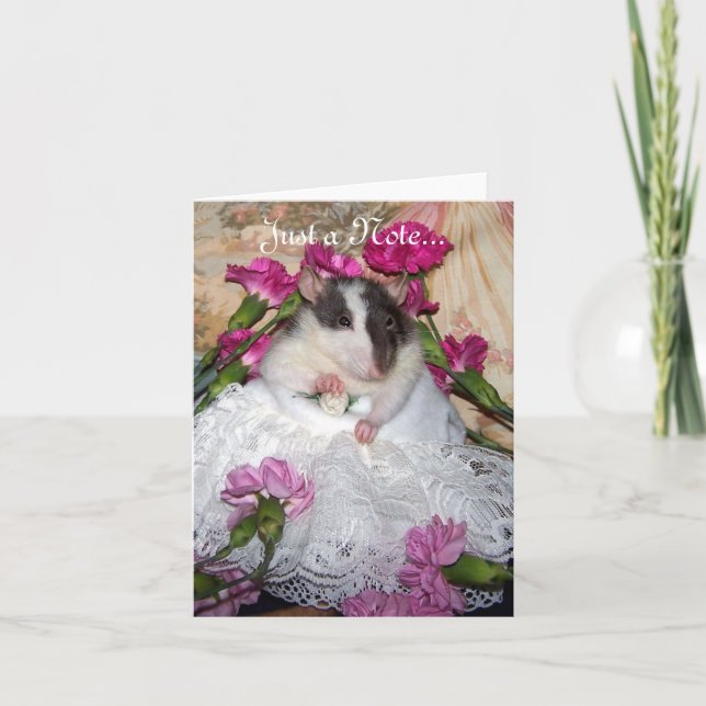 Tarjeta de nota de Trudy (Anverso)