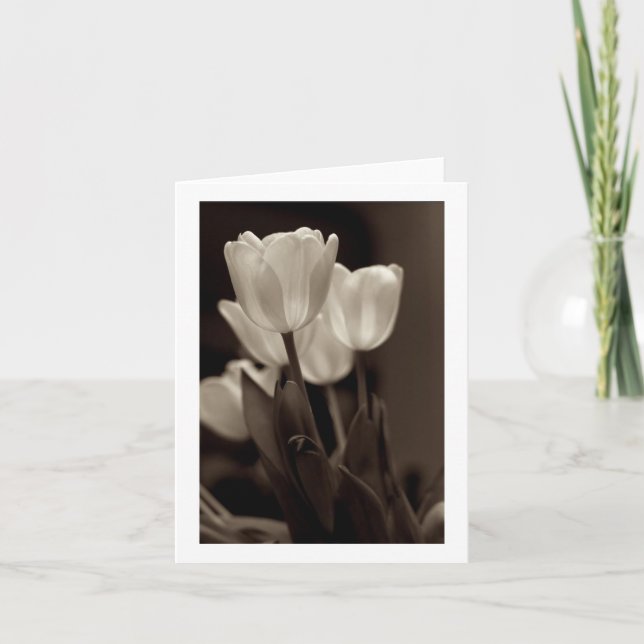 Tarjeta de nota de tulipán de Sepia (Anverso)