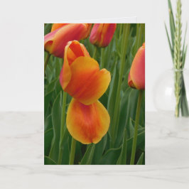 Tarjeta de nota de tulipán dorado individual