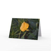 Tarjeta de nota de tulipán dorado único