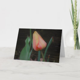 Tarjeta de nota de tulipán único