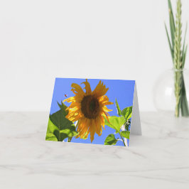 Tarjeta de nota de verano de girasol amarillo y mi