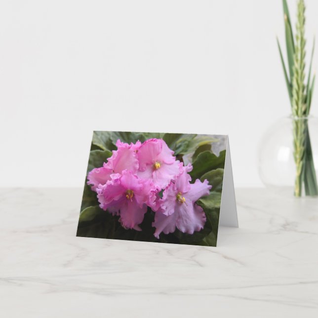 Tarjeta de nota de Violeta Africana Rosa  (Anverso)