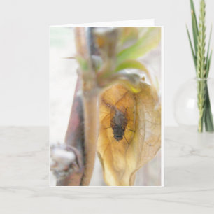 Tarjeta de nota de vuelo de buena noche