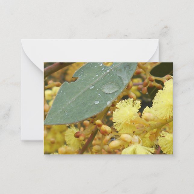 Tarjeta de nota de Wattle de oro (Anverso)