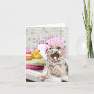 Tarjeta de nota de Yorkie