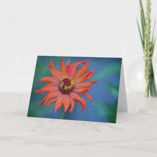 Tarjeta de nota de zinnia