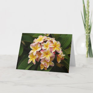 Tarjeta de nota del arte del Plumeria
