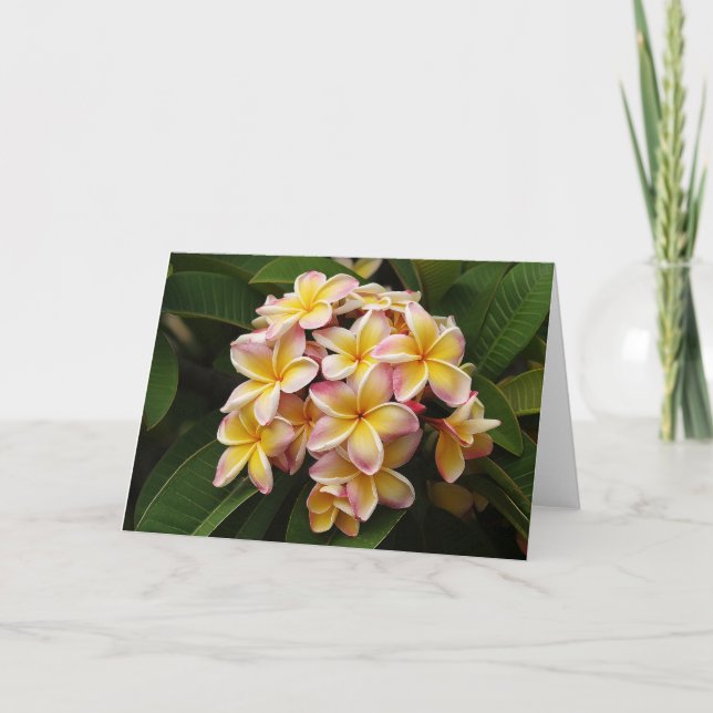 Tarjeta de nota del arte del Plumeria (Anverso)