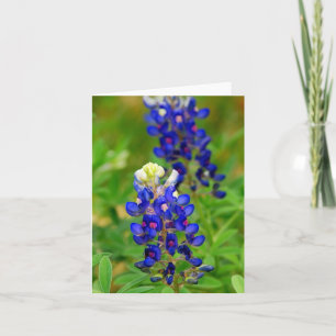 Tarjeta de nota del Bluebonnet de Tejas