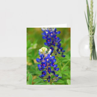 Tarjeta de nota del Bluebonnet de Tejas