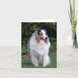Tarjeta de nota del border collie