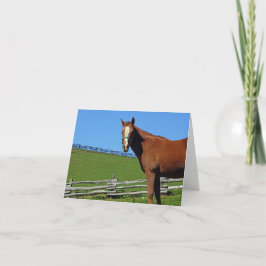 Tarjeta de nota del caballo