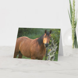 Tarjeta de nota del caballo