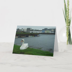 Tarjeta de nota del cisne de Galway